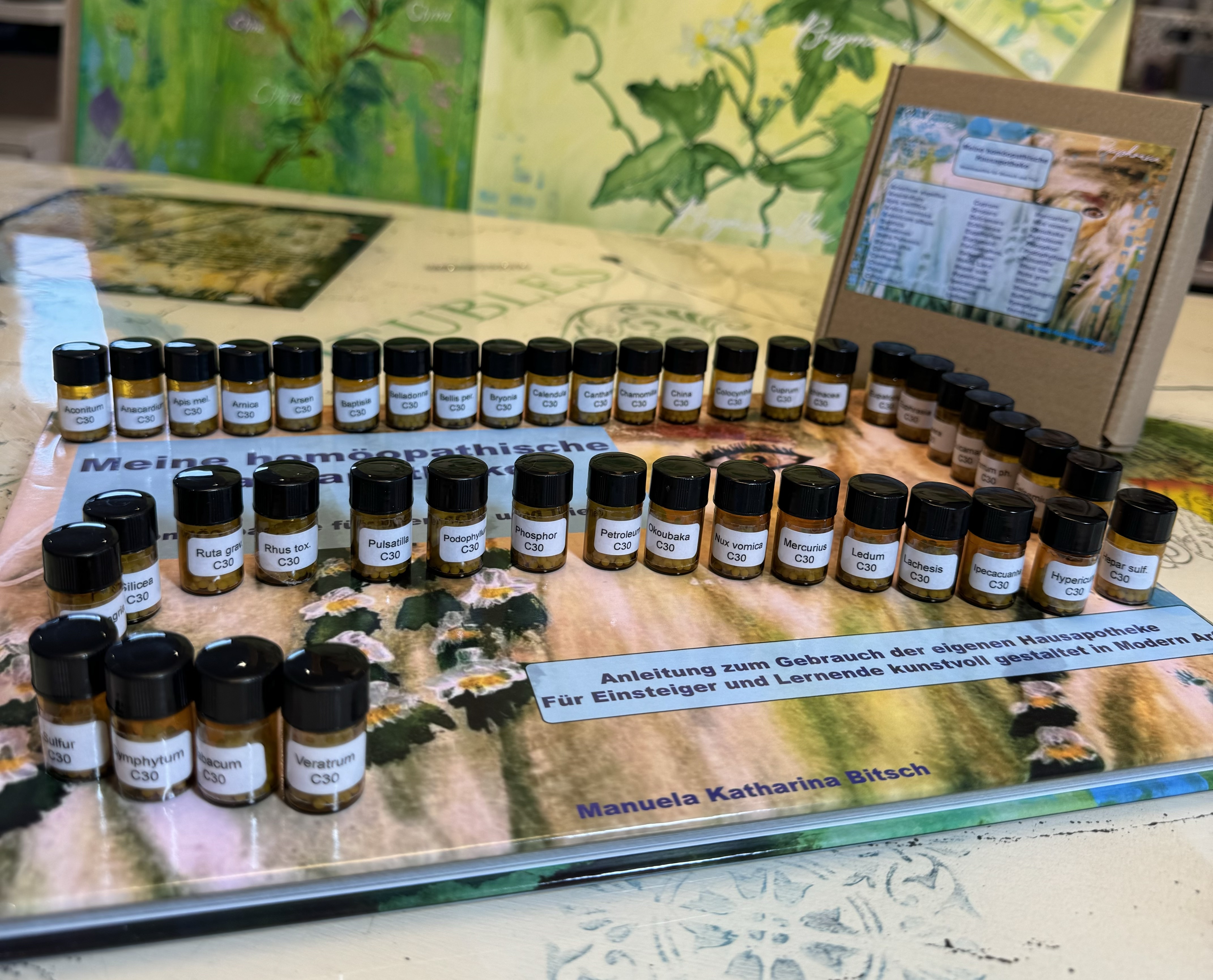 homöopathische Hausapotheke auf Buch